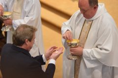 First Mass of Fr Mark O'Farrell